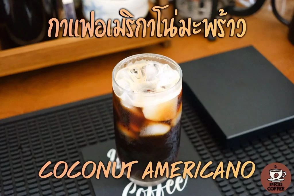 Coconut-Americano